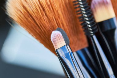 Profesyonel makyaj fırçaları