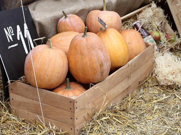 Divers assortiment de citrouilles dans un coffre en bois . — Photo