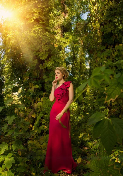 Belle fille dans une robe bleue posant dans la forêt — Photo