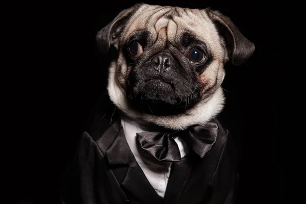 hem de smokin bir close-up 