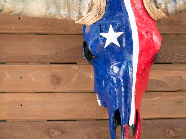 Cráneo Longhorn de Texas pintado con bandera de estado de Texas estrella solitaria y montado en la pared . — Foto de Stock