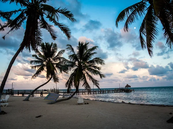 Naplemente lövés gyönyörű strand pálmafák, kókuszdió és móló vezető óceán Stock Kép