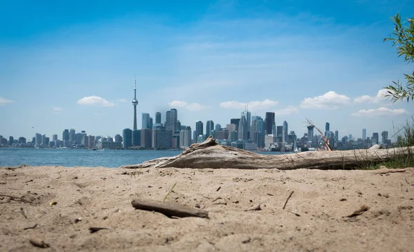 Toronto városképe a Toronto szigetekről, előtérben a tengerparttal és a driftwood Stock Fotó