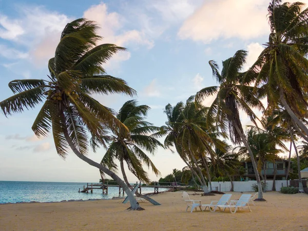 Sunset lövés gyönyörű strand görbe pálmafák és strand székek Key West Jogdíjmentes Stock Képek