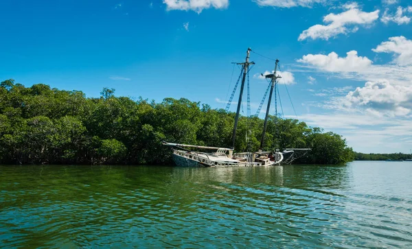 Régi hajóroncs előtt mangrove erdő napsütéses napon Key Largo Jogdíjmentes Stock Képek
