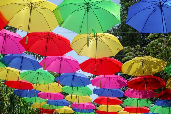 Red Yellow Green Blue Pink Yellow or colorful umbrella hanging above as decoration with blue sky as background with beuatifull angle