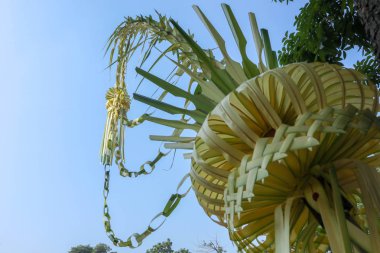 Endonezya ve Asya 'daki düğünler için sarı yaprak süslemeleri - dekorasi janur kuning untuk acara pernikahan di Endonezya dan asia