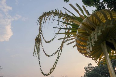 Hindistan cevizi ağacından sarı hindistan cevizi yaprağı Endonezya 'da bir düğün için ya da geleneksel Cava takımadaları için 