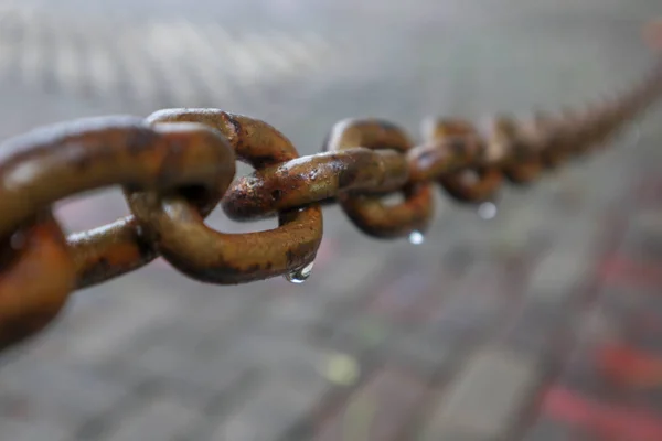 Photo Macro Still Life Chain Link Drop Water — Stock Photo, Image