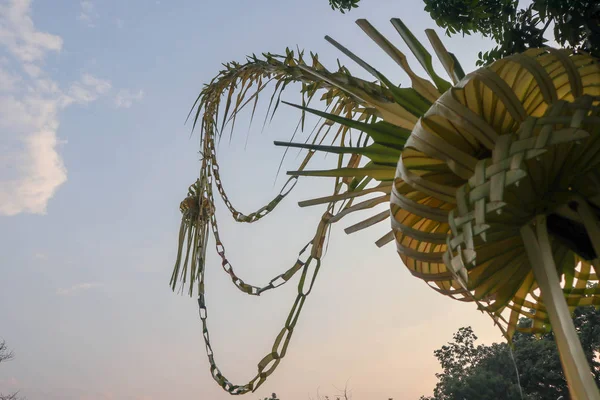インドネシアやジャワ島の伝統的な結婚式のためのヤシの木から黄色のココナッツの葉 ストック画像