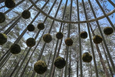 Elektronik malların arkaplanı için bilgisayar klavyesinin ve makronun yakın plan fotoğrafı