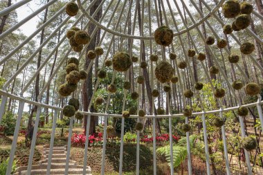 Elektronik malların arkaplanı için bilgisayar klavyesinin ve makronun yakın plan fotoğrafı