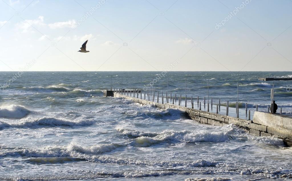 Stormy day in October in Black Sea