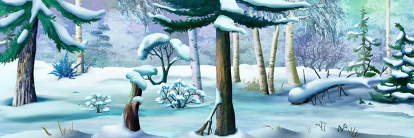 Χειμώνας δάσος σε ψυχρός ημέρα. Πανοραμική θέα — Φωτογραφία Αρχείου