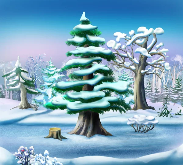 冬の森の雪に覆われた松の木 — ストック写真