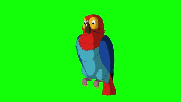Πολύχρωμο παπαγάλος χαιρετά. Κλασικά χειροποίητα κινούμενα σχέδια — Αρχείο Βίντεο