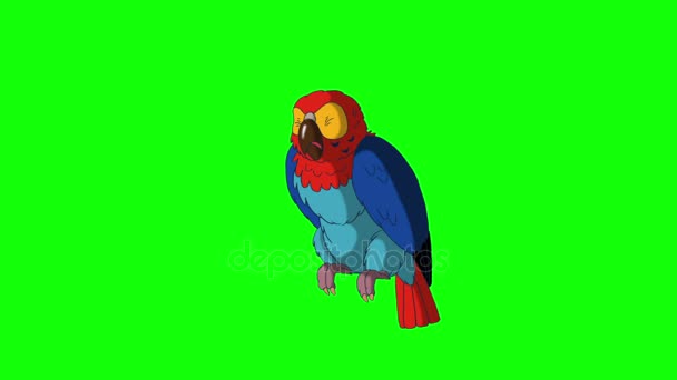 Le perroquet coloré tourne. Animation classique à la main  