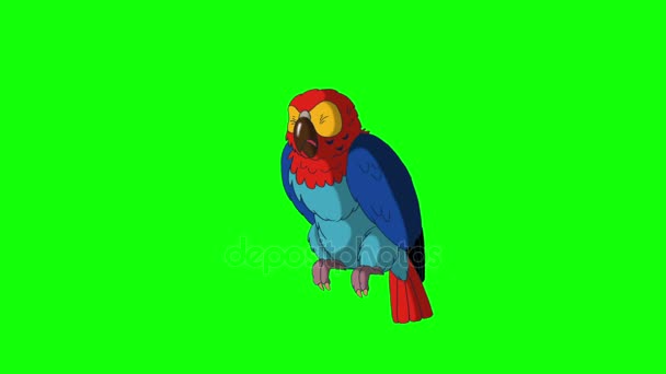 Schakelt de kleurrijke Parrot. Klassieke handgemaakte animatie — Stockvideo