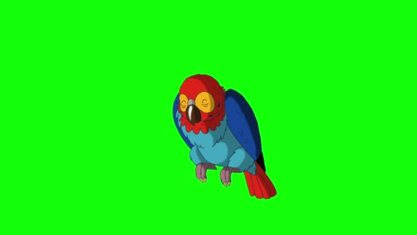 Разноцветный попугай просыпается. Классическая анимация ручной работы — стоковое видео