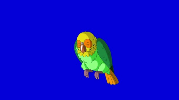 Green Parrot Wakes Up. Classic Handmade Animation — Stock Video