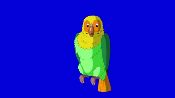 Green Parrot nettoie les plumes. Animation classique à la main . — Video