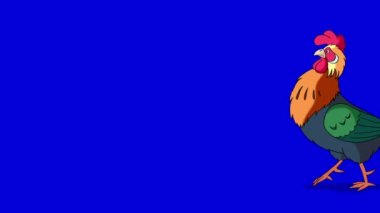 Renkli horoz yürür ve kargalar. Klasik el yapımı animasyon izole mavi ekran