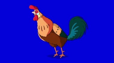 Kızılca horoz kargalar. Klasik el yapımı animasyon izole mavi ekran