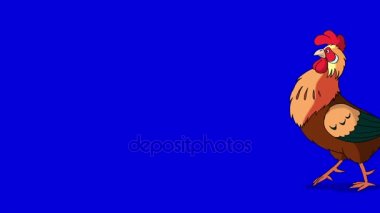 Kızılca horoz yürür ve kargalar. Klasik el yapımı animasyon izole mavi ekran