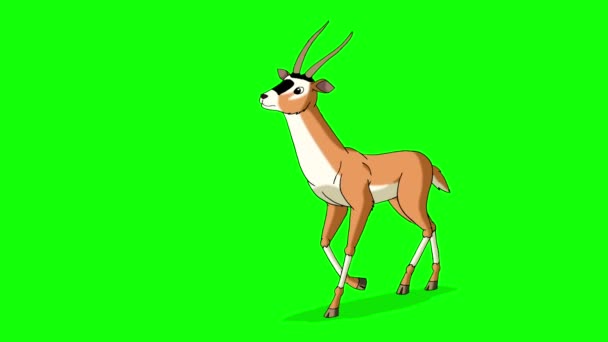 Gazelle Antelope corre. Animado movimiento gráfico aislado en la pantalla verde — Vídeos de Stock