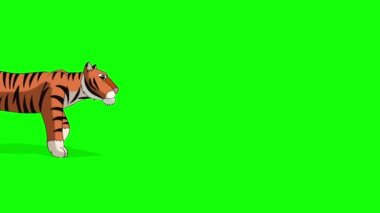 Kaplan yürüyor. Yeşil ekranda izole animasyonlu hareketli grafik 