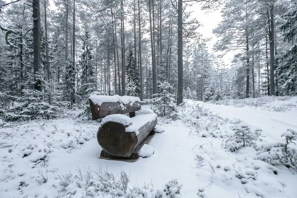Drewniana ławka w parku zimowym — Zdjęcie stockowe