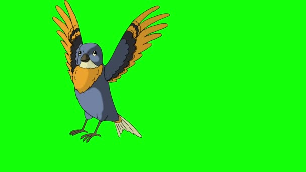 Blue Bird Came Flying — Stock Video © zarevv #150675854 Blue Bird Came Flying — Stock Video © zarevv #150675854
