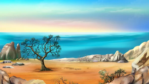 Côte rocheuse avec arbre solitaire contre le ciel bleu à l'aube — Photo