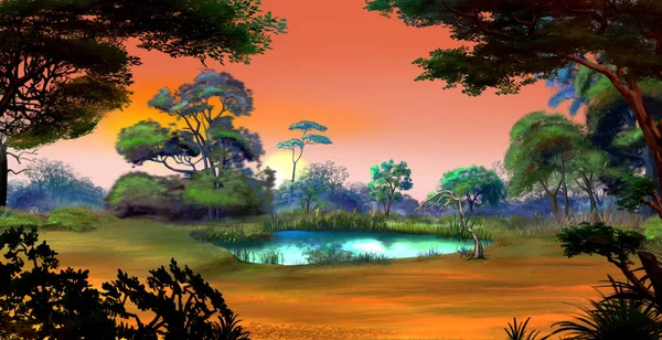 Small Pond on a Forest Glade at Dawn — Stock Photo, Image