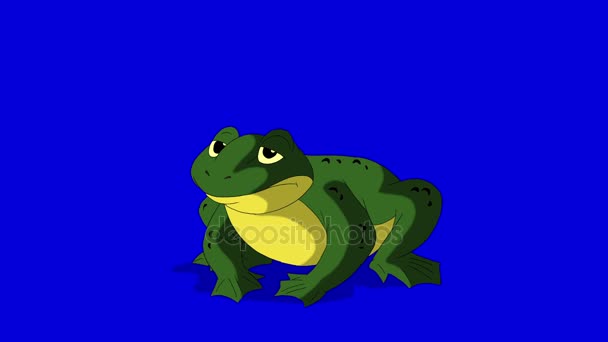 Frog Croaking изолирован на голубом экране — стоковое видео