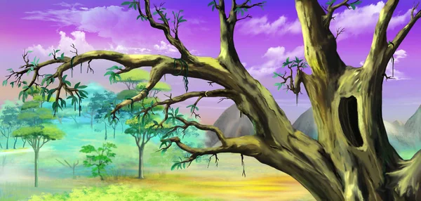 Afrikanska träd med stora ihåliga mot lila himmel — Stockfoto