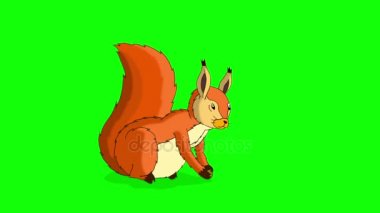 Kızılca sincap fındık yemek ve oturma. Renk