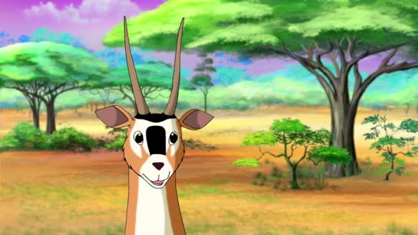 Antelope Gazelle Primer plano — Vídeos de Stock