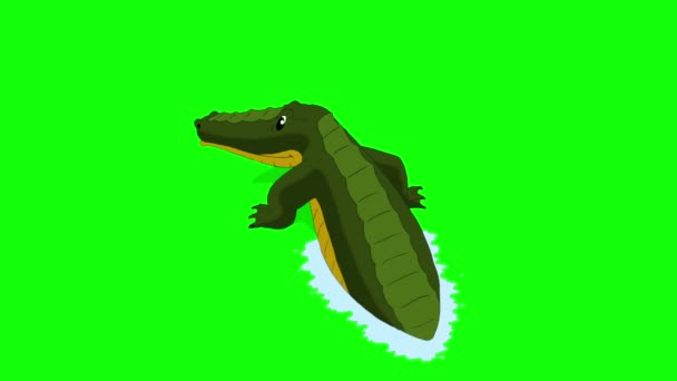 Crocodile Attacks Back View Animated Motion Graphic Isolated Green Screen — Stock Video