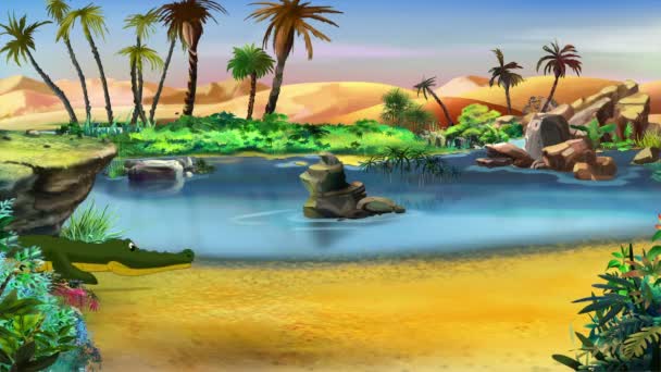 小尼罗河鳄鱼在阳光明媚的日子里沿河奔跑 手工动画 运动图形 — 图库视频影像