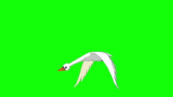 White Swan Flies Animated Looped Motion Graphic Isolated Green Screen — Stock Video