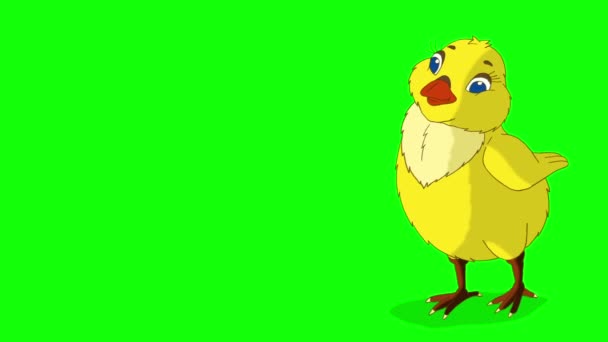 Yellow Chicken Looking Food Animated Motion Graphic Isolated Green Screen — Stock Video