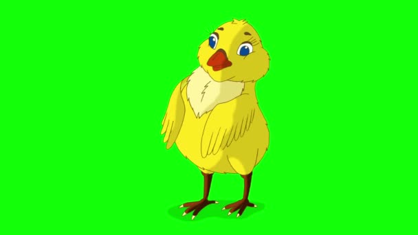 Желтые Куриные Бантики Графическая Изоляция Анимационного Движения Зеленом Экране — стоковое видео
