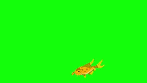 Piccoli Pesci Gialli Galleggiano Acquario Animated Looped Motion Graphic Isolato — Video Stock