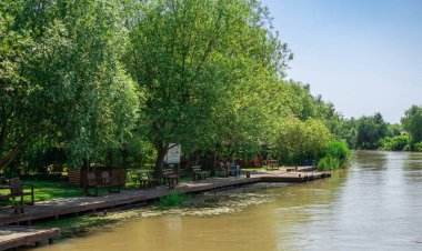 Ukrayna 'nın Vilkovo köyü yakınlarındaki Tuna Nehri.