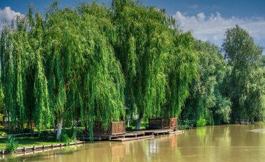 Ukrayna 'nın Vilkovo köyü yakınlarındaki Tuna Nehri.