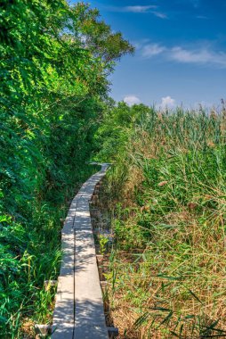 Tuna Delta Sıfır Kilometre, Ukrayna
