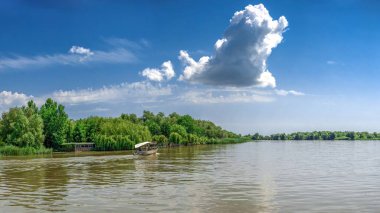 Ukrayna 'nın Vilkovo köyü yakınlarındaki Tuna Nehri.