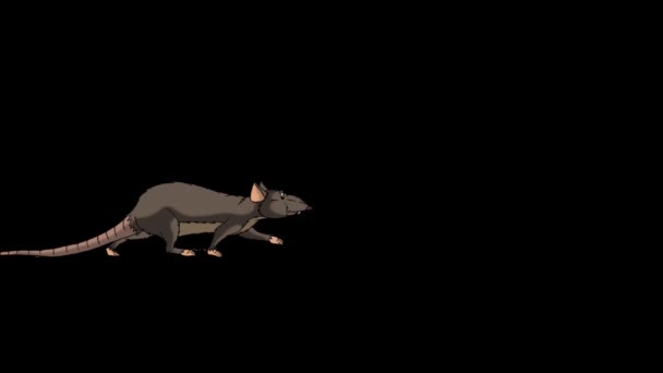 Brown Rat Walks Animated Looped Motion Graphic Alpha Channel — Stock Video