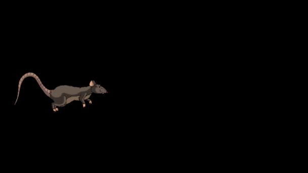 Kahverengi Sıçan Animasyon Yapıyor Alfa Kanalı Ile Animasyon Döngüsü Grafiği — Stok video